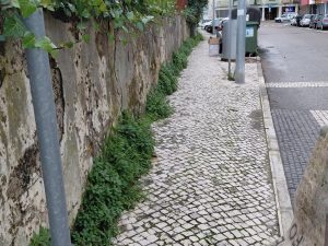 UF de S. João Baptista e Santa Maria dos Olivais aposta em novas ferramentas digitais