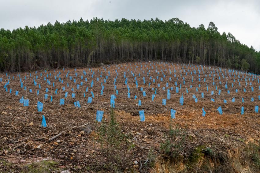 Sardoal afirma-se como exemplo na prevenção de incêndios