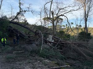 Tempestade destruiu um dos ícones históricos de Tomar, a Charolinha