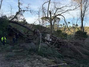 Tempestade destruiu um dos ícones históricos de Tomar, a Charolinha