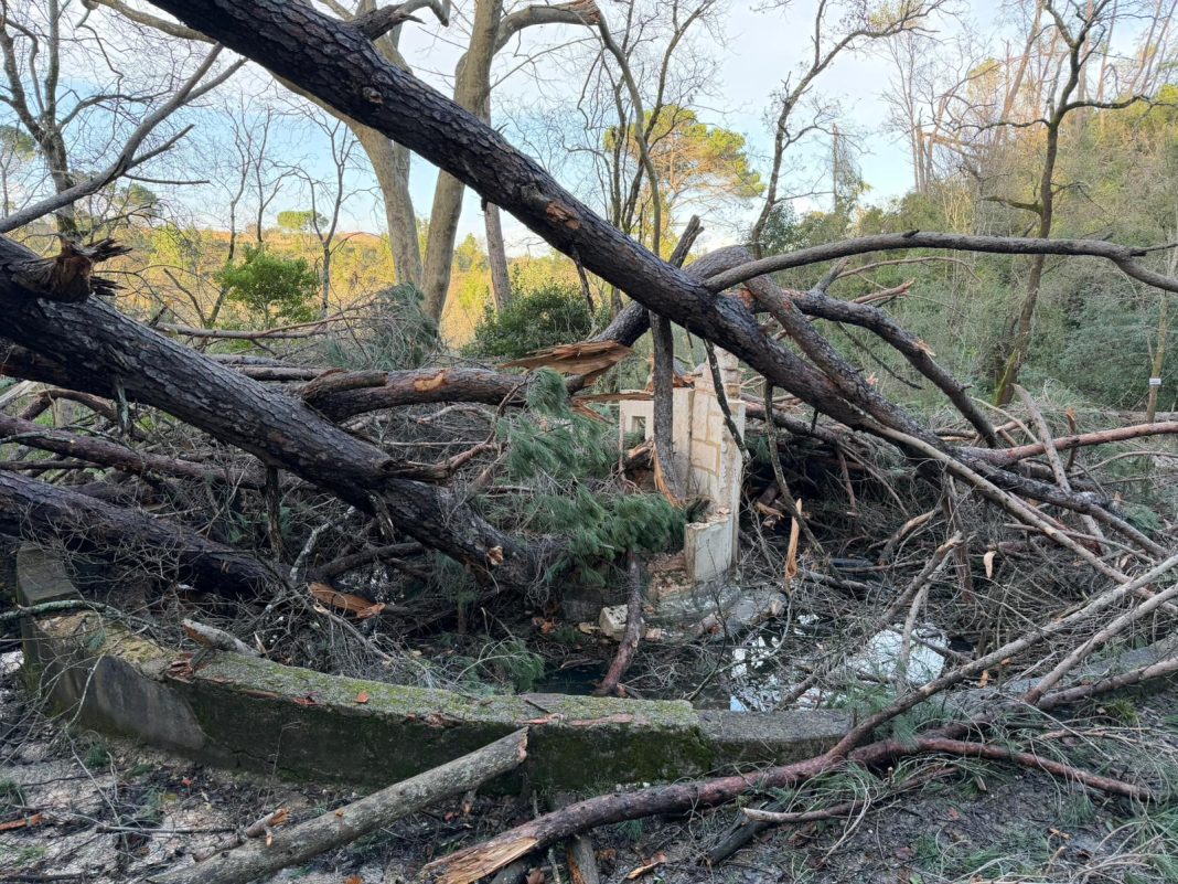 Tempestade destruiu um dos ícones históricos de Tomar, a Charolinha