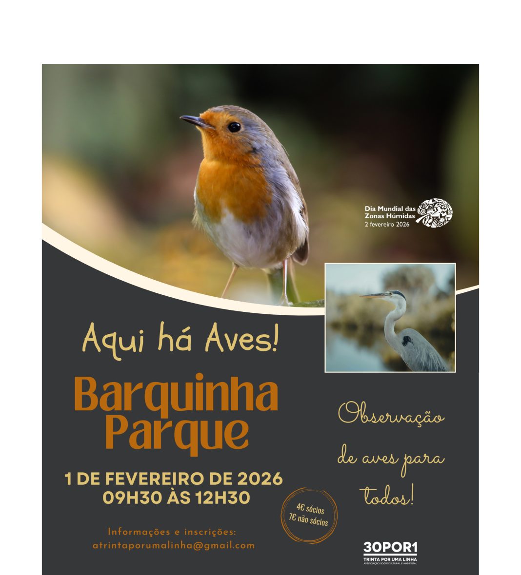Vamos à Barquinha observar as aves?