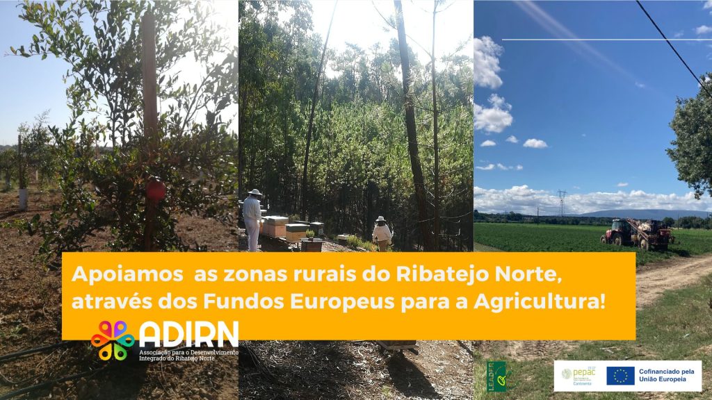 ADIRN: Apoios a 24 projetos agrícolas ultrapassam 1 milhão de euros