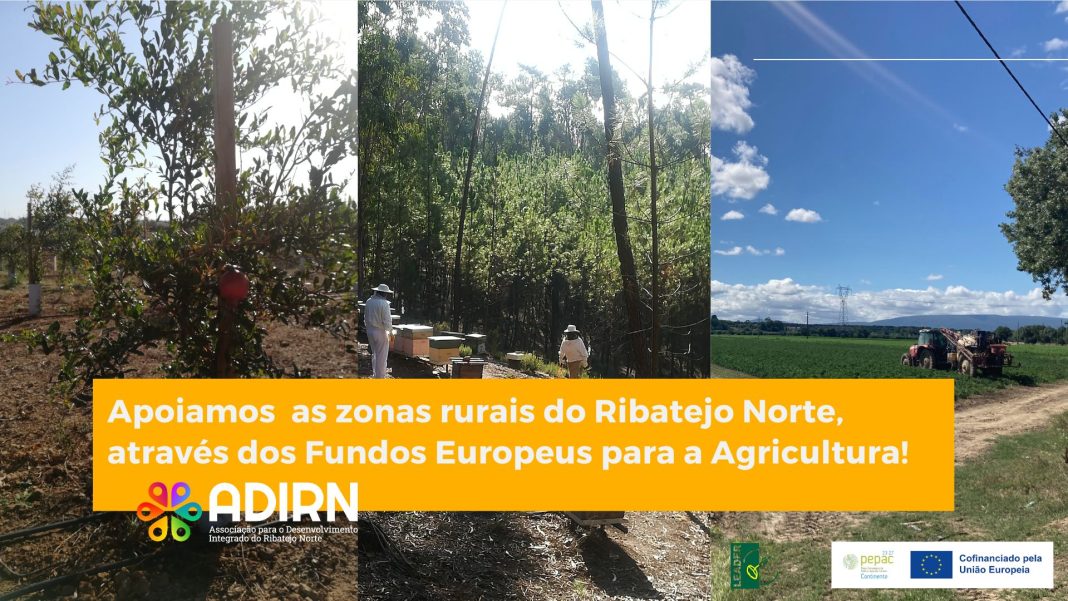 ADIRN: Apoios a 24 projetos agrícolas ultrapassam 1 milhão de euros