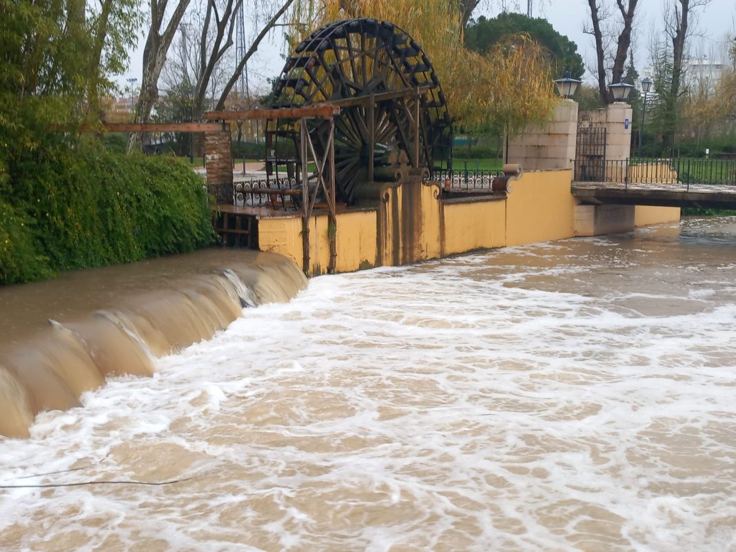 O Rio Nabão em dia de chuva intensa. Veja aqui as fotos.