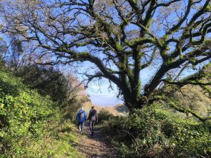 Quer conhecer a Serra de Aire e Candeeiros?
