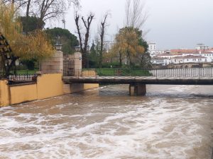 Rio Nabão em dia de chuva