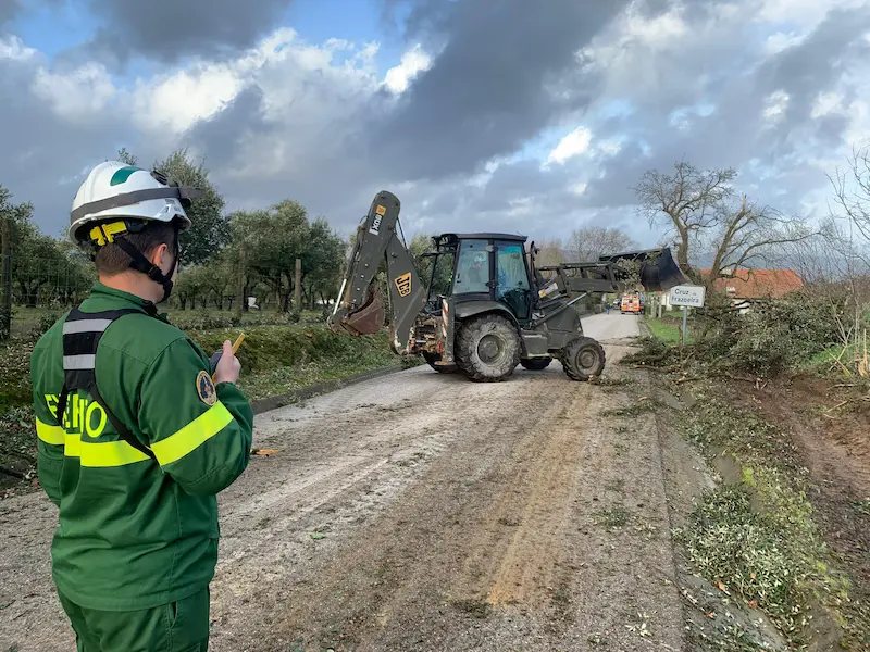 Exército apoia operações de limpeza em Tomar e Ferreira do Zêzere