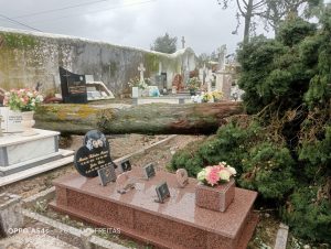 Tomar: Cemitério de Alviobeira não foi poupado à tempérie 