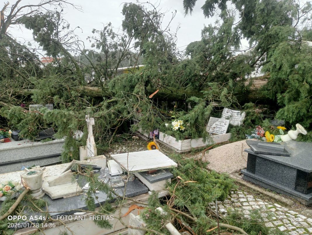 Tomar: Cemitério de Alviobeira não foi poupado à tempérie