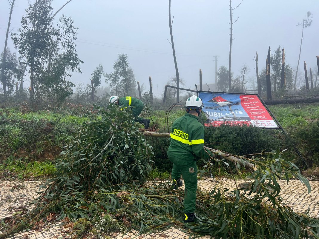 Exército dá conta dos militares que tem no terreno no distrito de Santarém