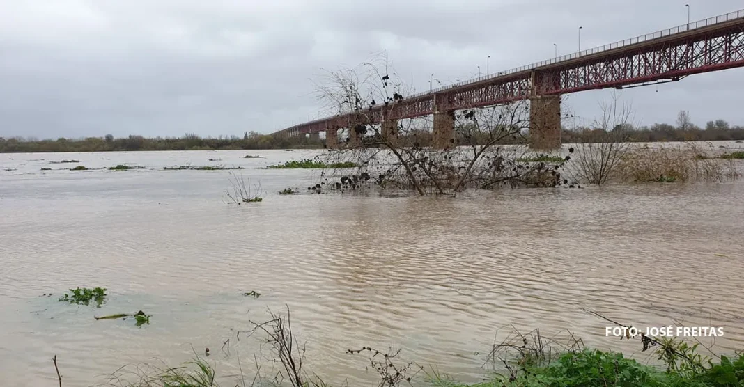 Ministra do Ambiente e Energia está hoje no distrito de Santarém