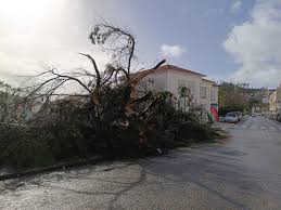 Proença-a-Nova e Vila de Rei alertam para burlas com falsos prestadores de serviços