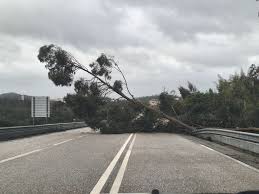 Vila de Rei cancelou desfile de Carnaval