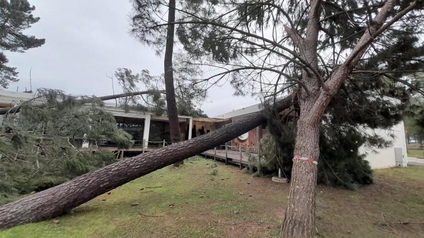 Abrantes com mais de 15 milhões de euros de prejuízos públicos provocados pela Kristin