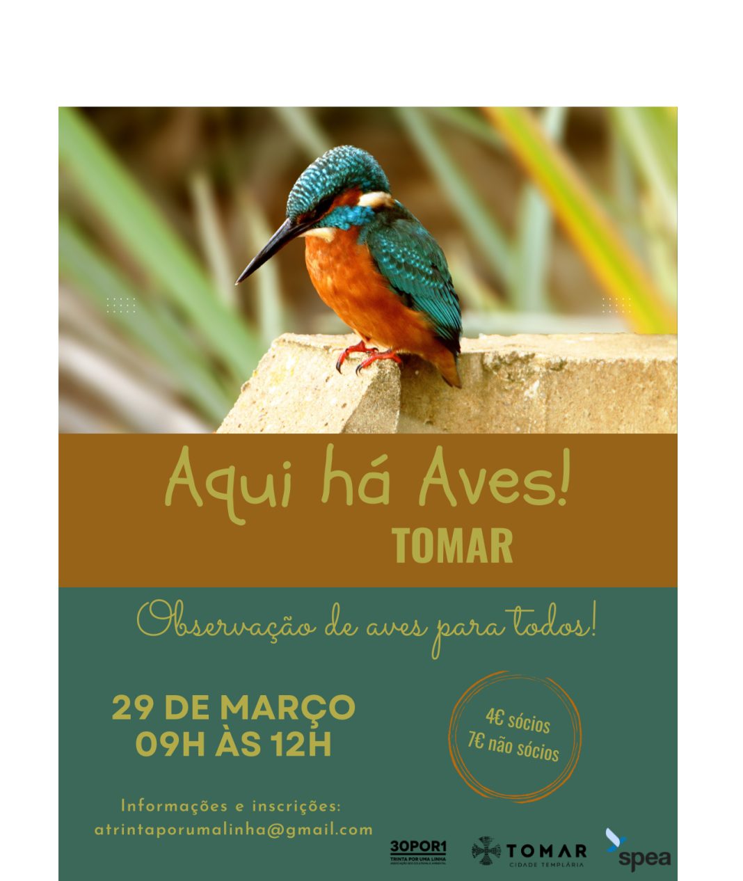 “Aqui Há Aves” em Tomar, uma iniciativa para os «amantes» da ornitologia "Aqui Há Aves" em Tomar, uma iniciativa para os «amantes» da ornitologia