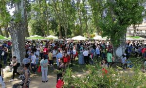 Congresso da Sopa muda de local para o antigo Parque de Campismo de Tomar