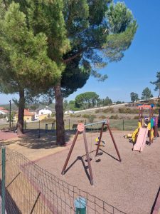 Asseiceira: Ex-presidente de junta indignado com abate de pinheira mansa que resistiu à tempestade Kristin