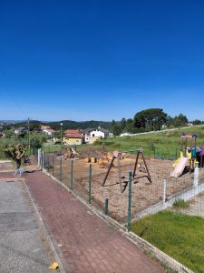 Asseiceira: Ex-presidente de junta indignado com abate de pinheira mansa que resistiu à tempestade Kristin