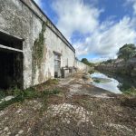 Antiga Fiação de Tomar: 30 anos de abandono, um idoso a guardar ruínas e um prometido plano para virar a página