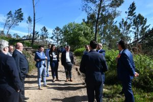 Saiba quais as medidas de apoio anunciadas durante a visita do Secretário de Estado das Florestas a F. Zêzere