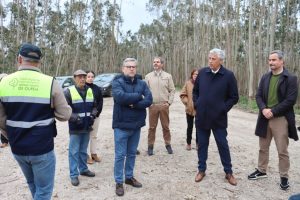 PRR: 4,6 milhões de euros para limpeza das faixas de gestão de combustível nas Serras Norte de Ourém