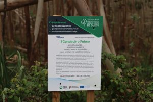 PRR: 4,6 milhões de euros para limpeza das faixas de gestão de combustível nas Serras Norte de Ourém