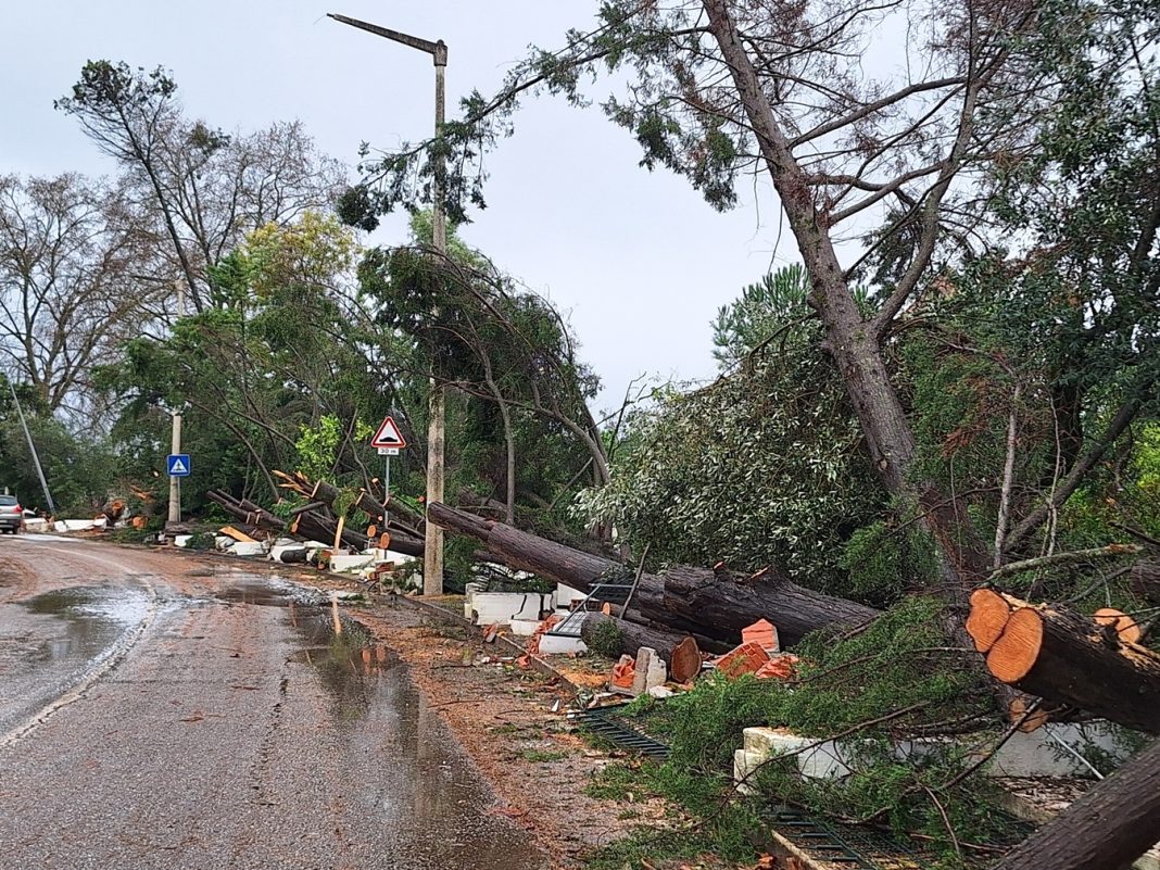 Tomar vai receber perto de 900 mil euros de ajuda do governo para reparar danos da depressão Kristin Tomar vai receber perto de 900 mil euros de ajuda do governo para reparar danos da depressão Kristin