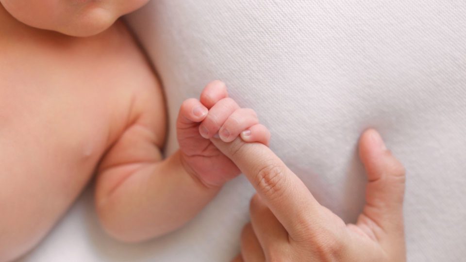 Junta de Freguesia de Ferreira do Zêzere reforça apoio à natalidade
