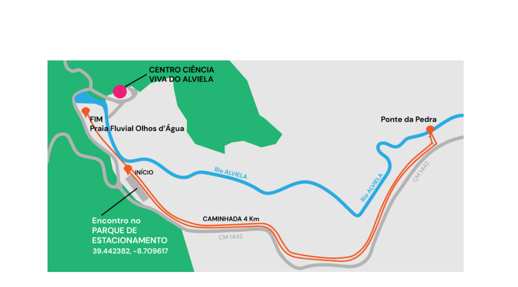 Celebração do Dia Mundial da Migração dos Peixes com passeio no Rio Alviela Celebração do Dia Mundial da Migração dos Peixes com passeio no Rio Alviela