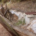 Entroncamento lança concurso público para recuperar Parque Verde do Bonito