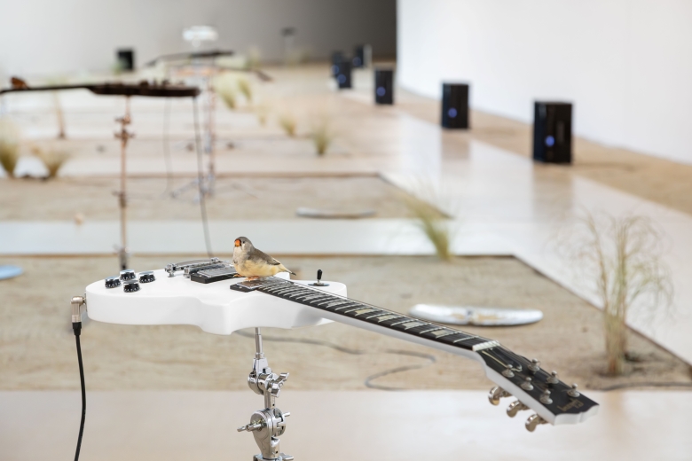 Mandarins da Golegã dão voz à arte contemporânea em instalação inédita no MAAT