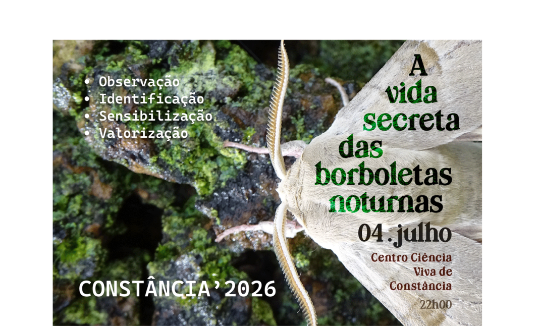 Constância quer dar a conhecer o fascinante universo das borboletas noturnas Constância quer dar a conhecer o fascinante universo das borboletas noturnas
