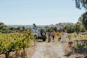 "Vamos à Vindima!" Quinta de Tomar integra roteiro oficial dos Vinhos do Tejo