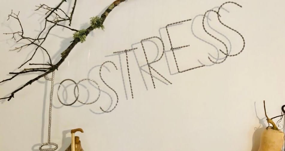 Assalto no café «100 Stress» em Torers Novas Assalto no café «100 Stress» em Torers Novas