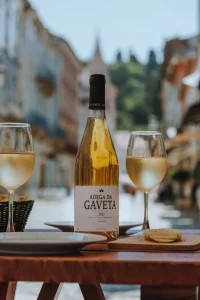 "Vamos à Vindima!" Quinta de Tomar integra roteiro oficial dos Vinhos do Tejo