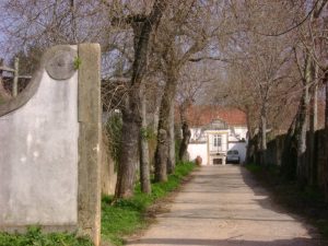 Quinta da Granja: património histórico de Tomar procura comprador há pelo menos nove anos