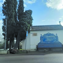 Se o património tivesse voz… Capela e Fonte de São Lourenço votadas ao abandono