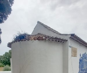 Se o património tivesse voz… Capela e Fonte de São Lourenço votadas ao abandono