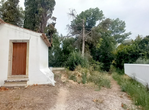 Árore partida e sapata no chão no lado esquerdo lateral da Capela de São Lourenço