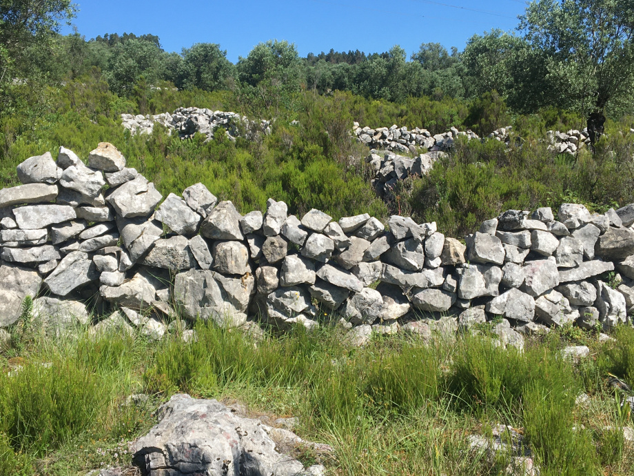 Muros de pedra seca de Sicó em destaque nas Jornadas Europeias do Património